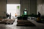 warm plantering326-2