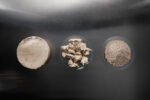EniferBio_23.3.2022_0124